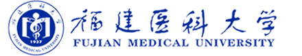 玩球直播nba官网